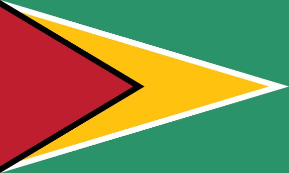 Flag of Guyana